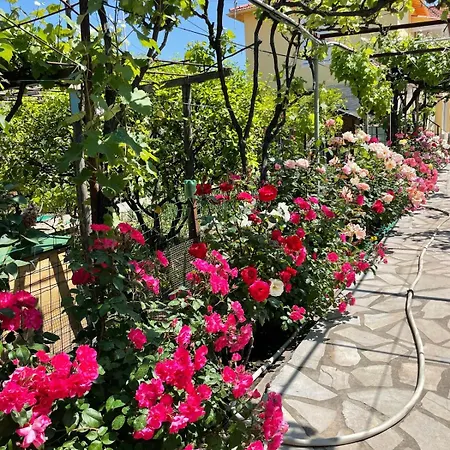 Lumineux 2 Pieces De Apartmán *