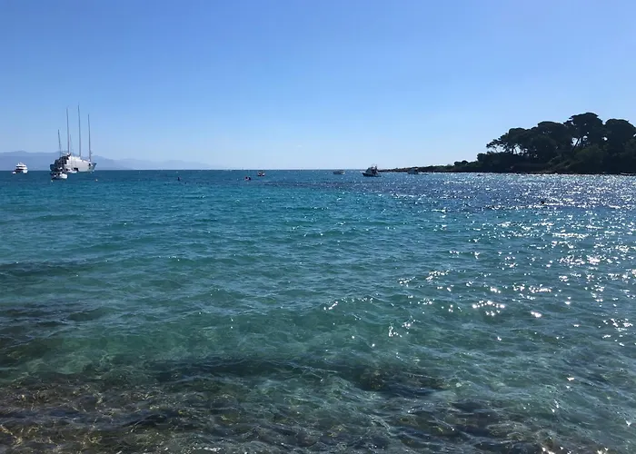 Lumineux 2 Pièces De Appartement *